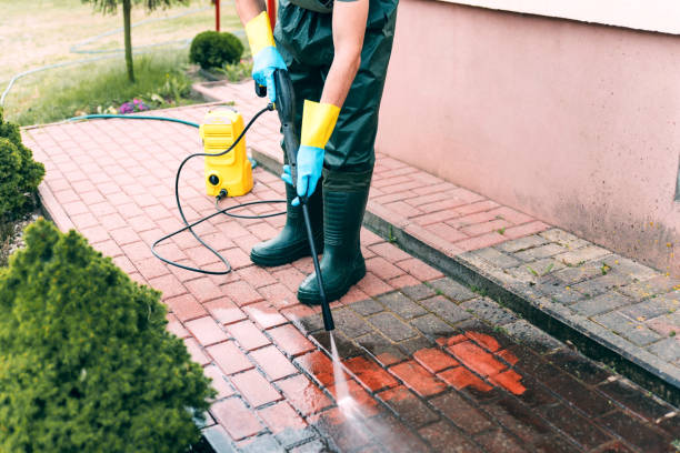 Animal Enclosure Cleaning in Zanesville, OH